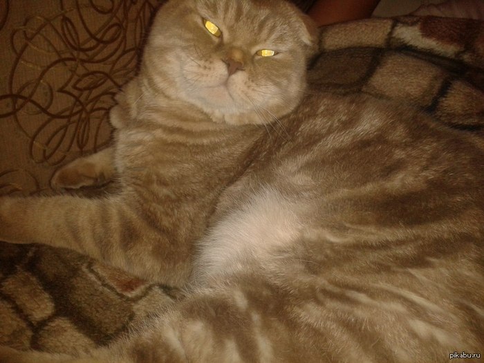 � ���� � ���� ��� ���� �����!  ������� :3