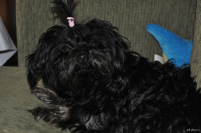 ��� ��������� ������� :3