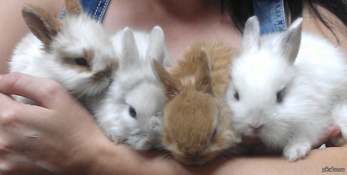 �� �� ��� ������...