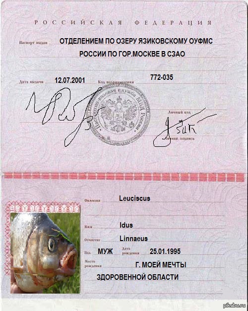 Фото на паспорт в белгороде