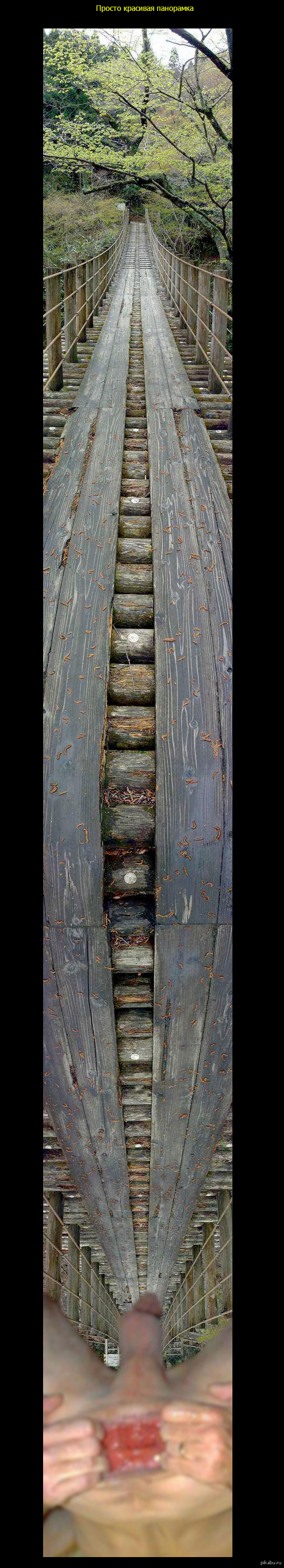 Знаю, что на Пикабу любят природу