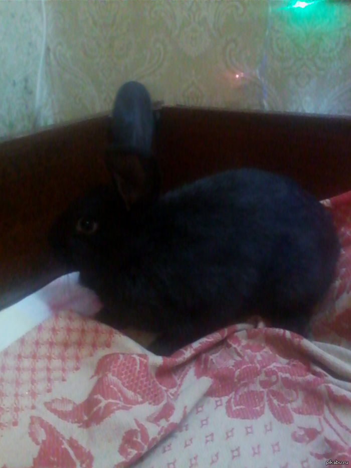 �������� �������� �� "�"? ������)