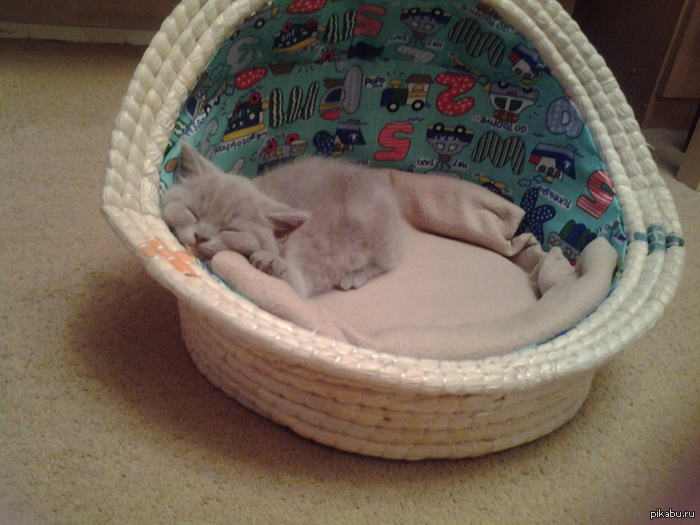 ������, ������� � ���� ��������� �����?)