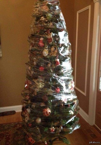 ���� ��� ��