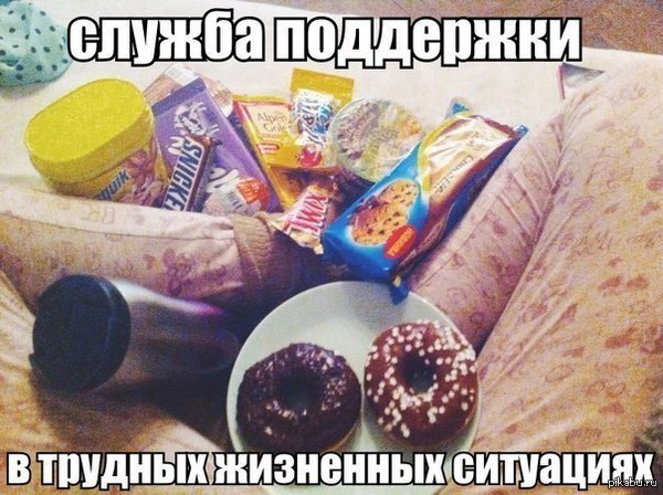 ������ ���������