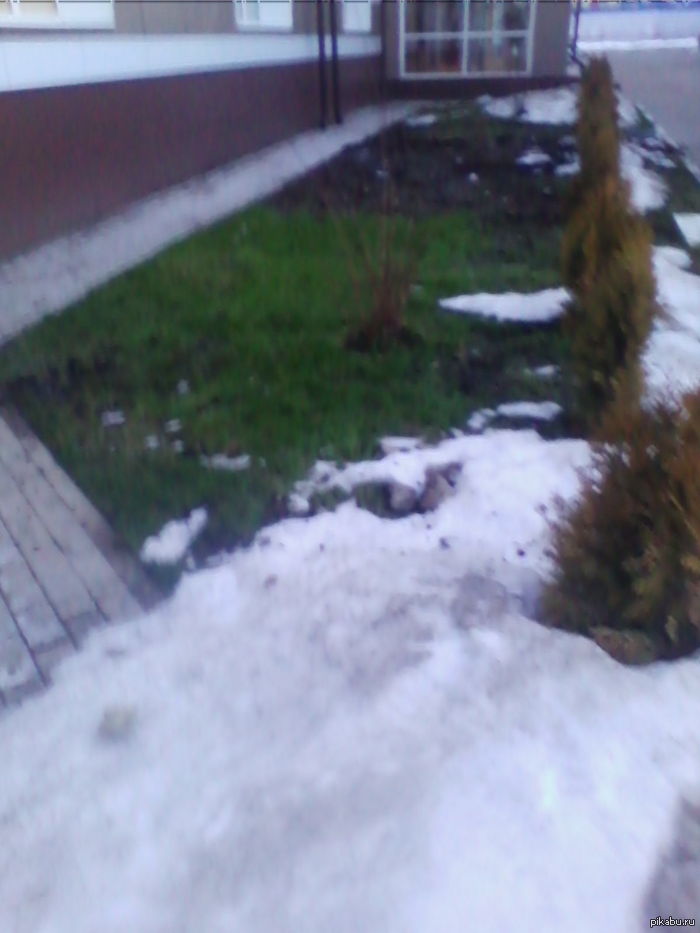 � ������ ���� ����� �������)