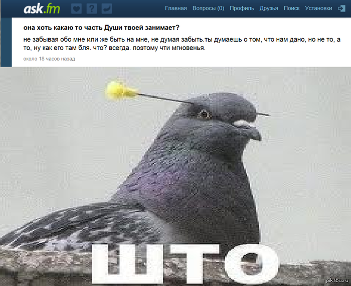 Кажется, найден собрат Инны Жирковой