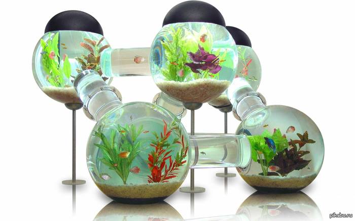 Многокомнатный аквариум для рыбок.