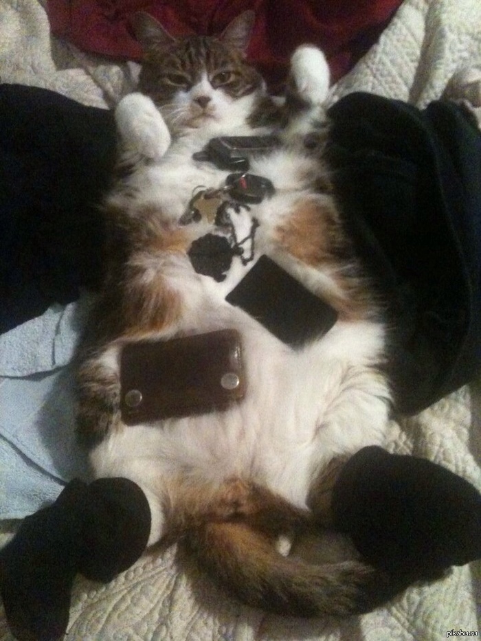 ������ ������� �������� �������� ���� � �������