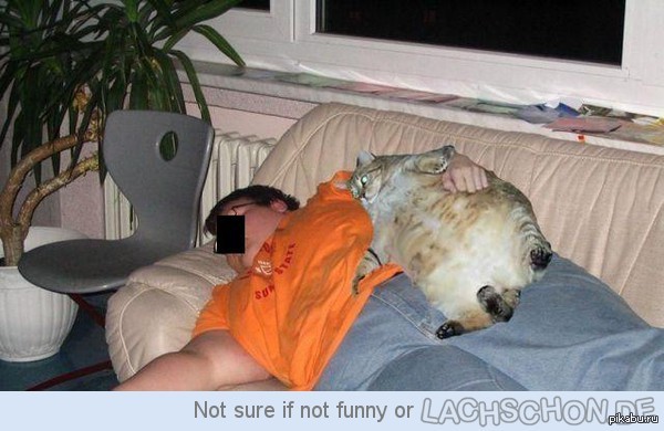 ������ �������