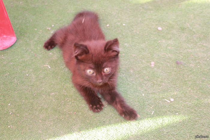 � ������� ���� ������ � ���������.