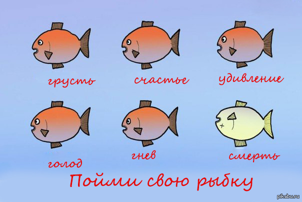 Рыбки ответы. Рыбка прикол. Приколы про аквариумных рыбок. Шутки про рыбу. Шутки про рыбок.