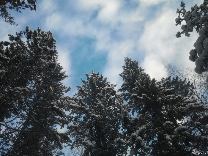 ������ ���, ������ �������!)