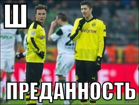 Преданность | Пикабу