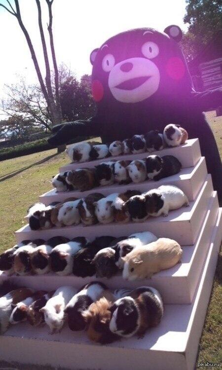 Как на счет купить одного?