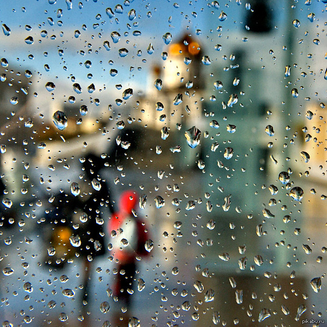 Доброе дождик. Дождливое утро. Утро дождь. Дождь за окном. Дождливый день.