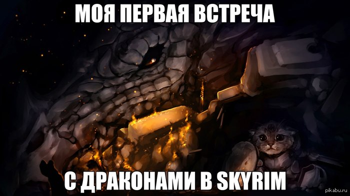    ) 
