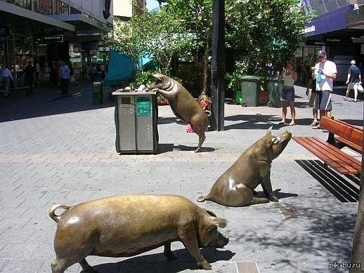 Свинки гуляют. Памятник свинье в Тарту. Скульптура ,, свиньи’’ в Австралии. Памятник свиньям в Аделаиде.