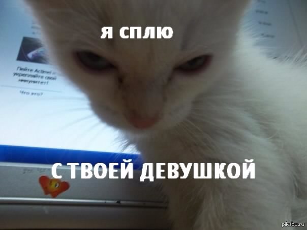 ��� ���� �������