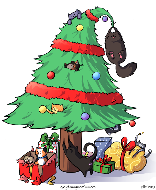 ��� ������ ����� ��� �������.