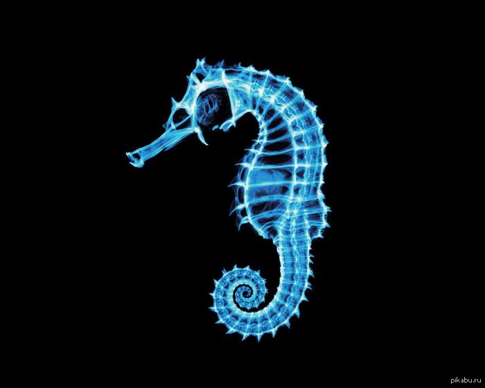 ��� ����� ������, ��������?