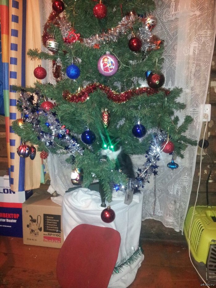 ������� �� ���� � ��� �����