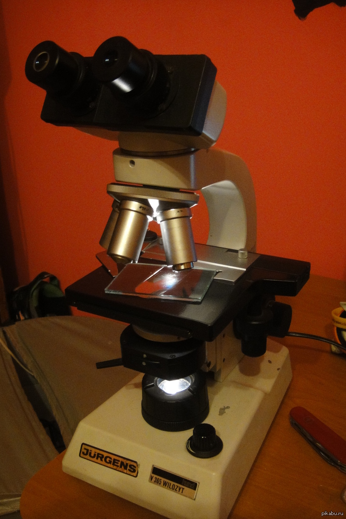 ��� ��� ����� ������� �� ���� ��������?))