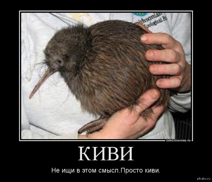 ����.������ ����.