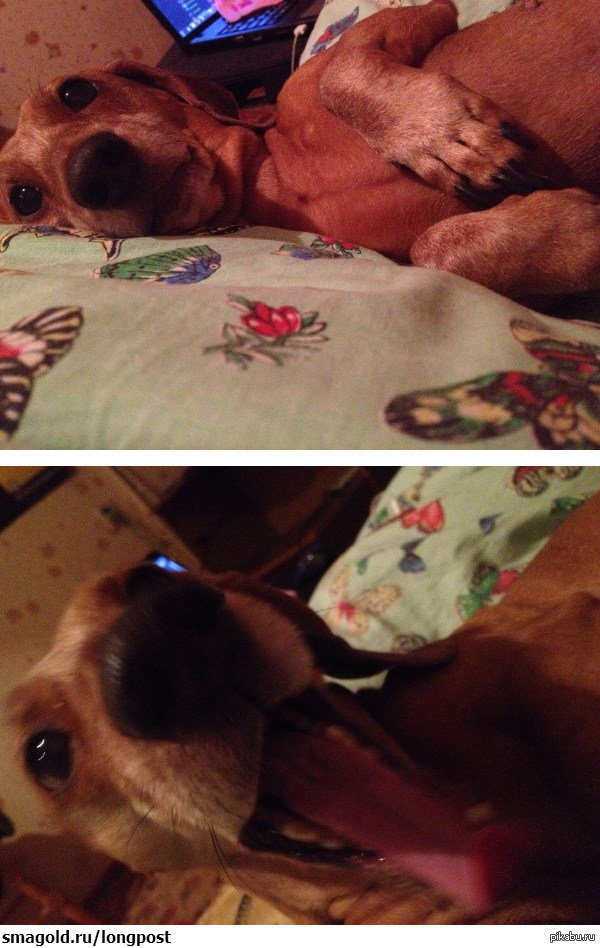 ДОБРОЕ УТРО!