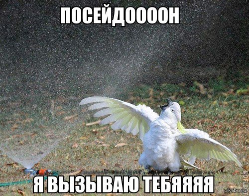 �����������!!!