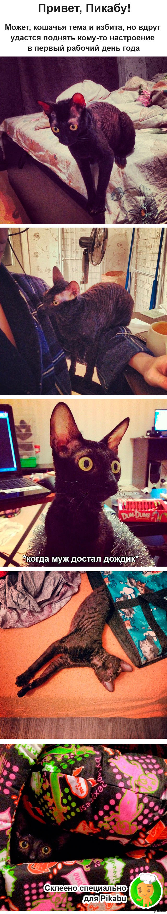 ���������� � �������