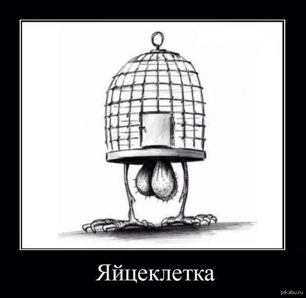 Яйцеклетка картинка прикол
