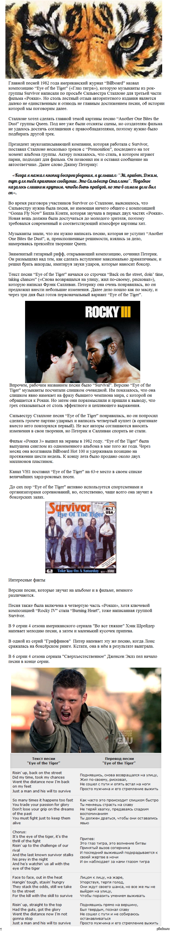   : Eye of the tiger    song-story.ru