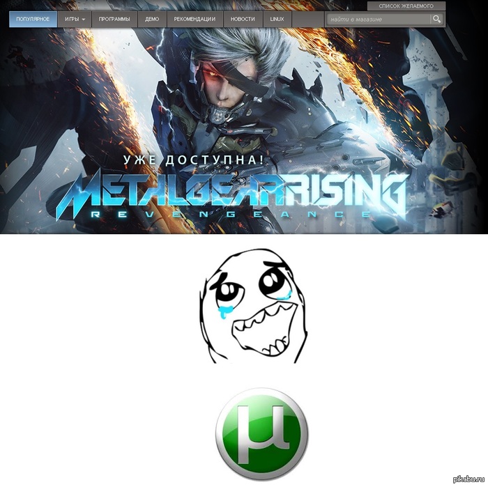 Metal Gear Rising: Revengeance