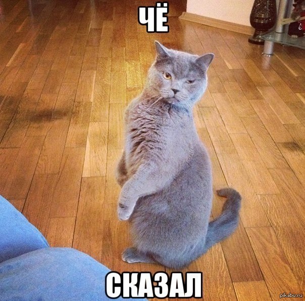 На случай важных переговоров!