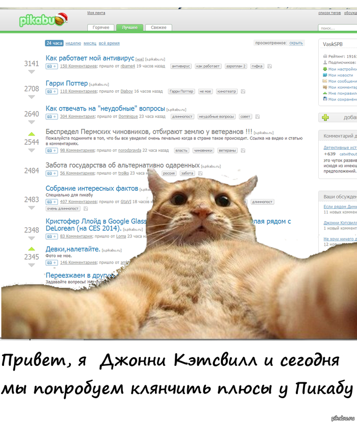 Отчаянный риск