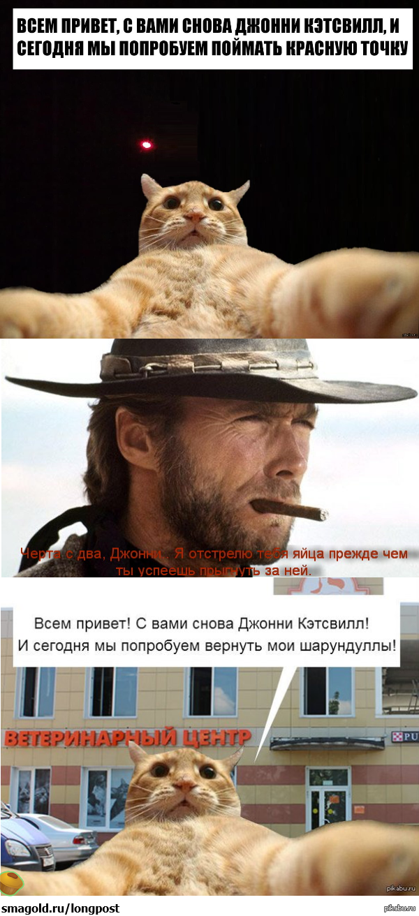 Приключения Джонни Кэтсвилла