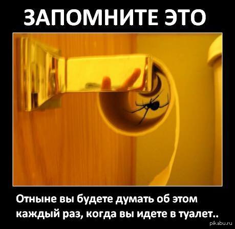    2    <a href="http://pikabu.ru/story/gde_moy_ognemet_1855532">http://pikabu.ru/story/_1855532</a>