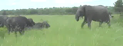 ����� ������ � � ����� �����