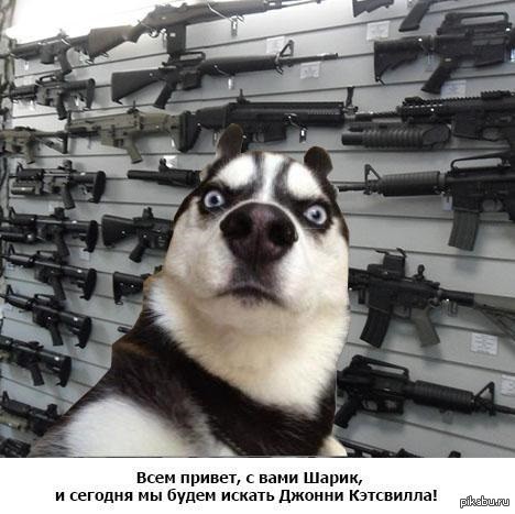 Шарик. 1 сезон, 1 эпизод | Пикабу