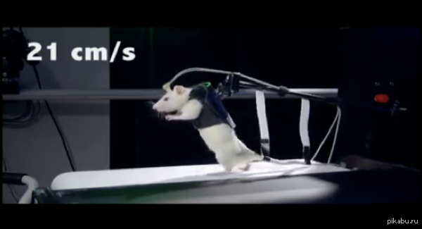 Новое средство лечения повреждений в позвоночнике