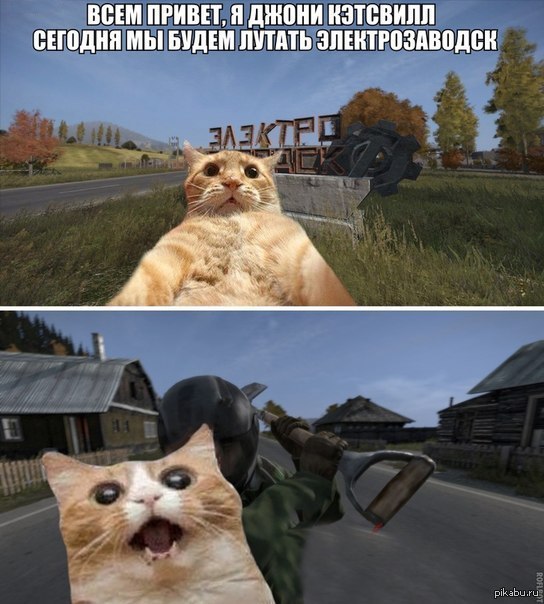 Ну естественно.. | Пикабу