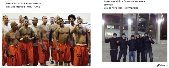 Интересно кто из них зверье и кто хуже?