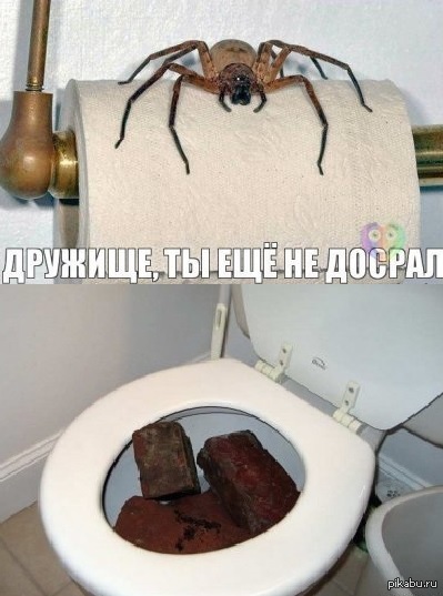  ) 