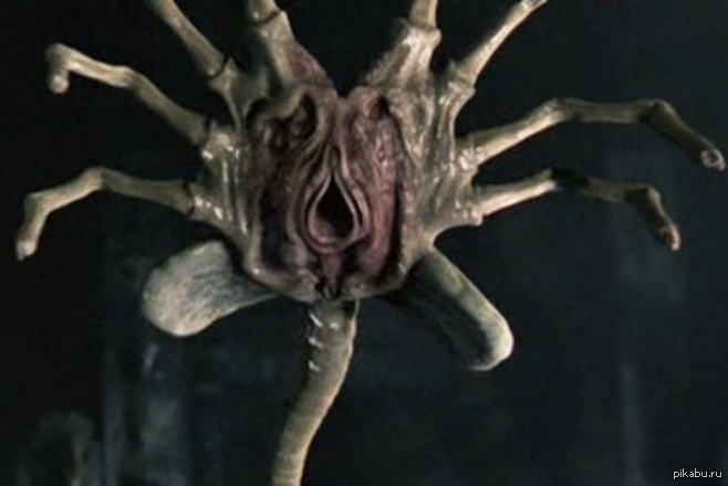 Я на столько форевералон, что согласен и на такую вагину!