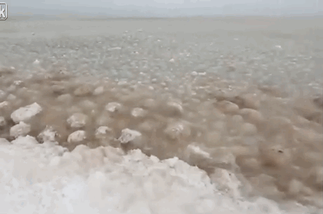 ������� ���� �� ����� �������