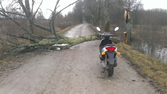 � ���� ���� ������