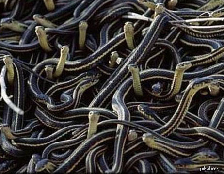 ��� � ������, ����� �� ������ �������