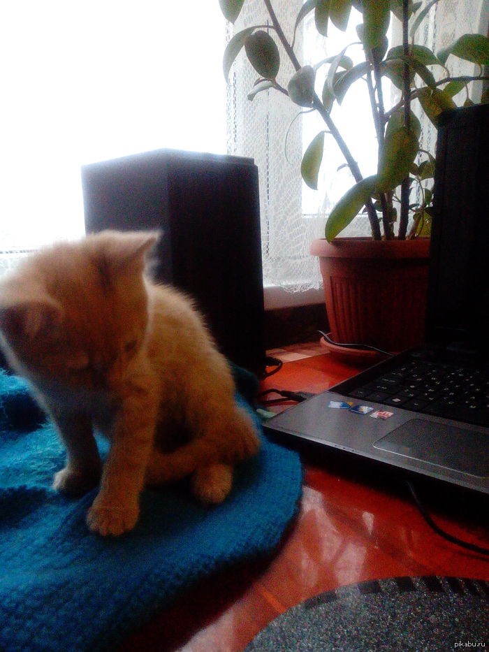 ��� ����� ���� ������� ��������� � ���� ����