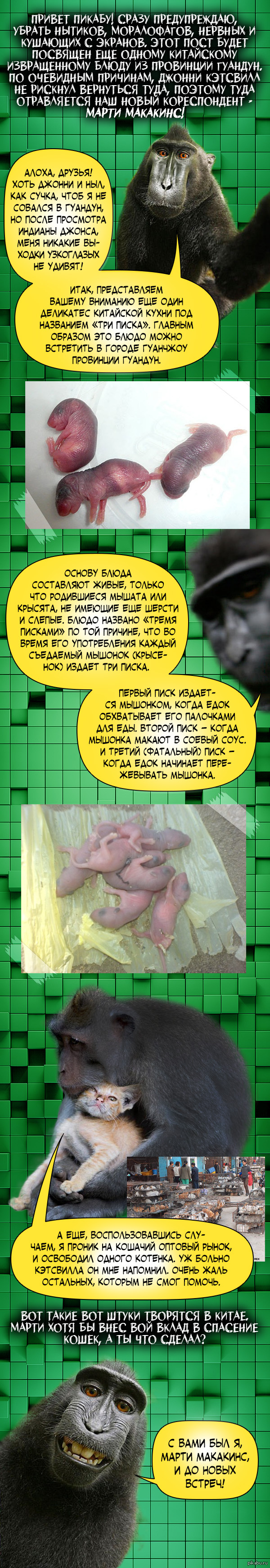 Жалаңаш әнші Николь Шерзингер